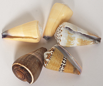 Cone mix