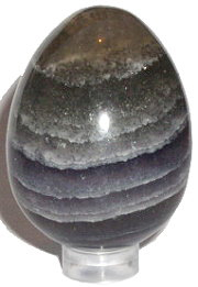 egg